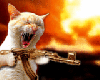 Le deuxieme chat